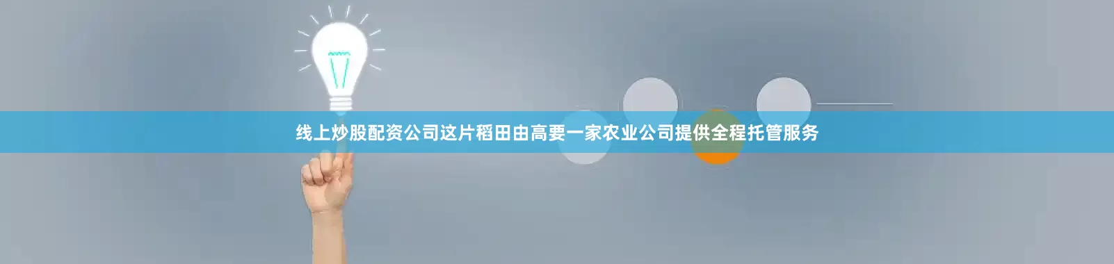 线上炒股配资公司这片稻田由高要一家农业公司提供全程托管服务